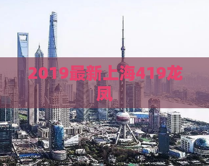 2019最新上海419龙凤